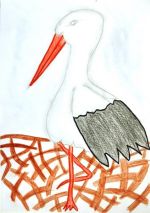 Štefánková Patrícia.jpg